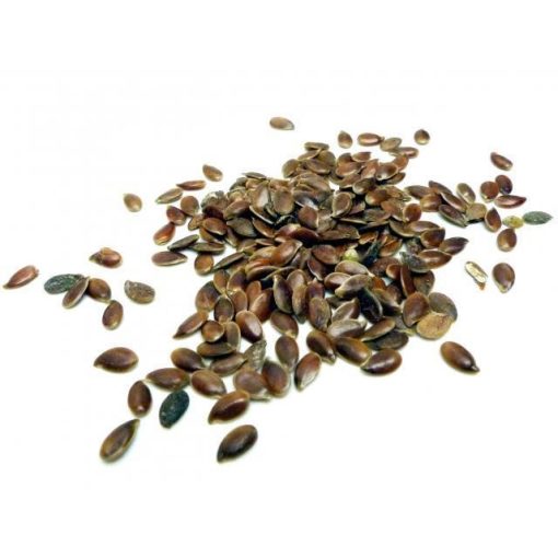 Lenmag 10g