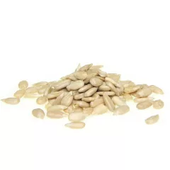 Napraforgómag 10g